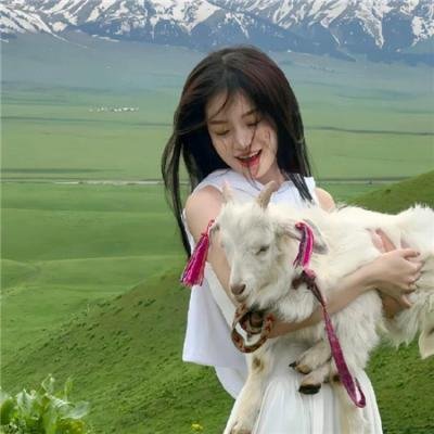 恐龙凶面目